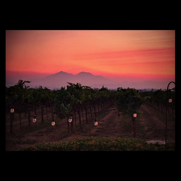 Meet your Posher, Diane - Picture 1 of 1